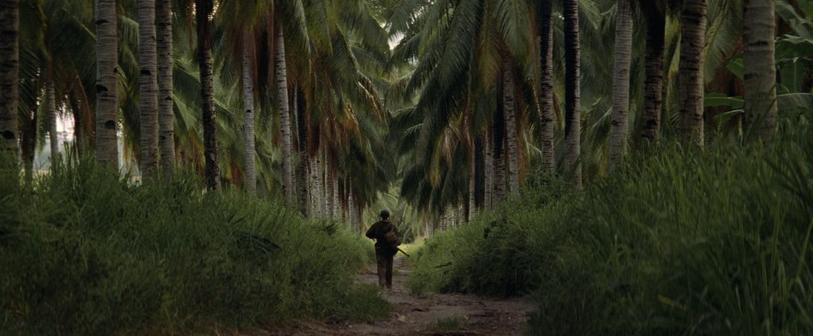 Imagem da publicação A guerra no coração da natureza: “Além da Linha Vermelha”